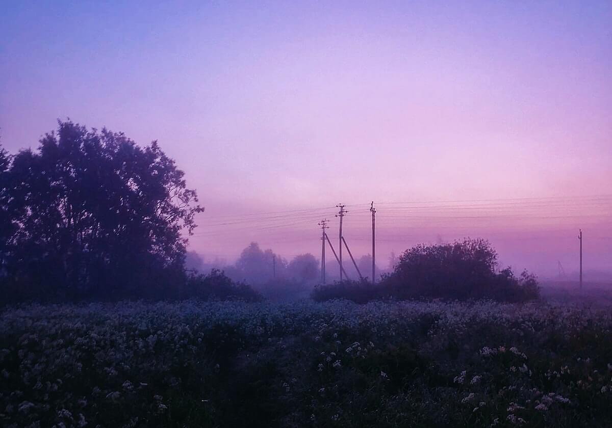 8月30日德甲两场